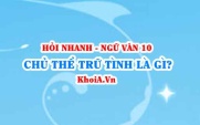 Chủ thể trữ tình là gì? Ngữ Văn lớp 10